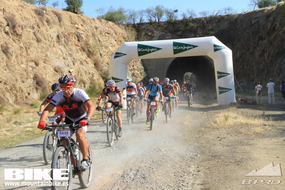 TALAJARA 2015 Galería 24