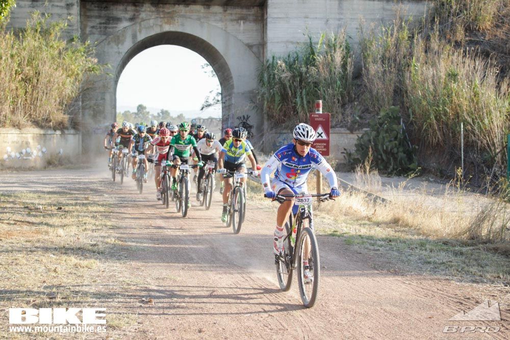 TALAJARA 2015 Galería 34