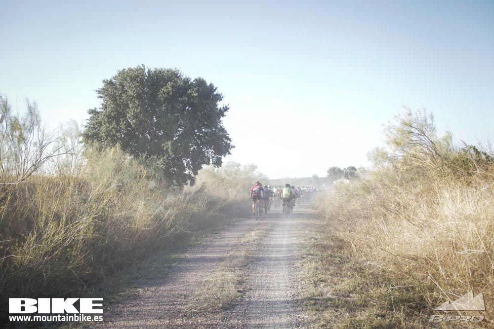 TALAJARA 2015 Galería 34