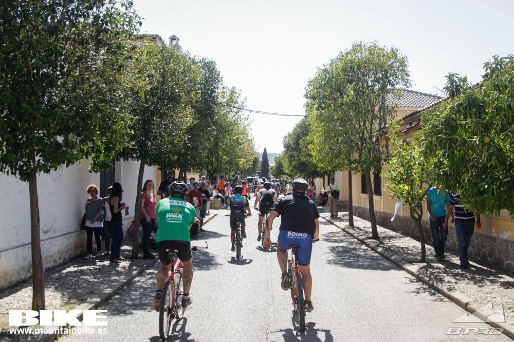 TALAJARA 2015 Galería 35