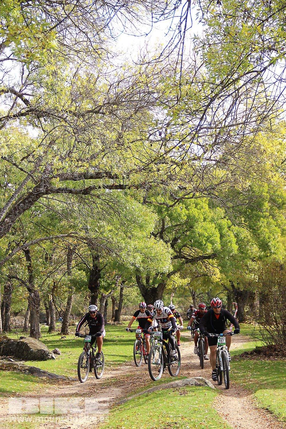MTB 4 Estaciones La Ruta Imperial 2015. Galería 9