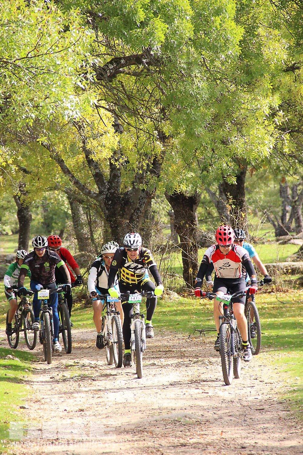 MTB 4 Estaciones La Ruta Imperial 2015. Galería 10