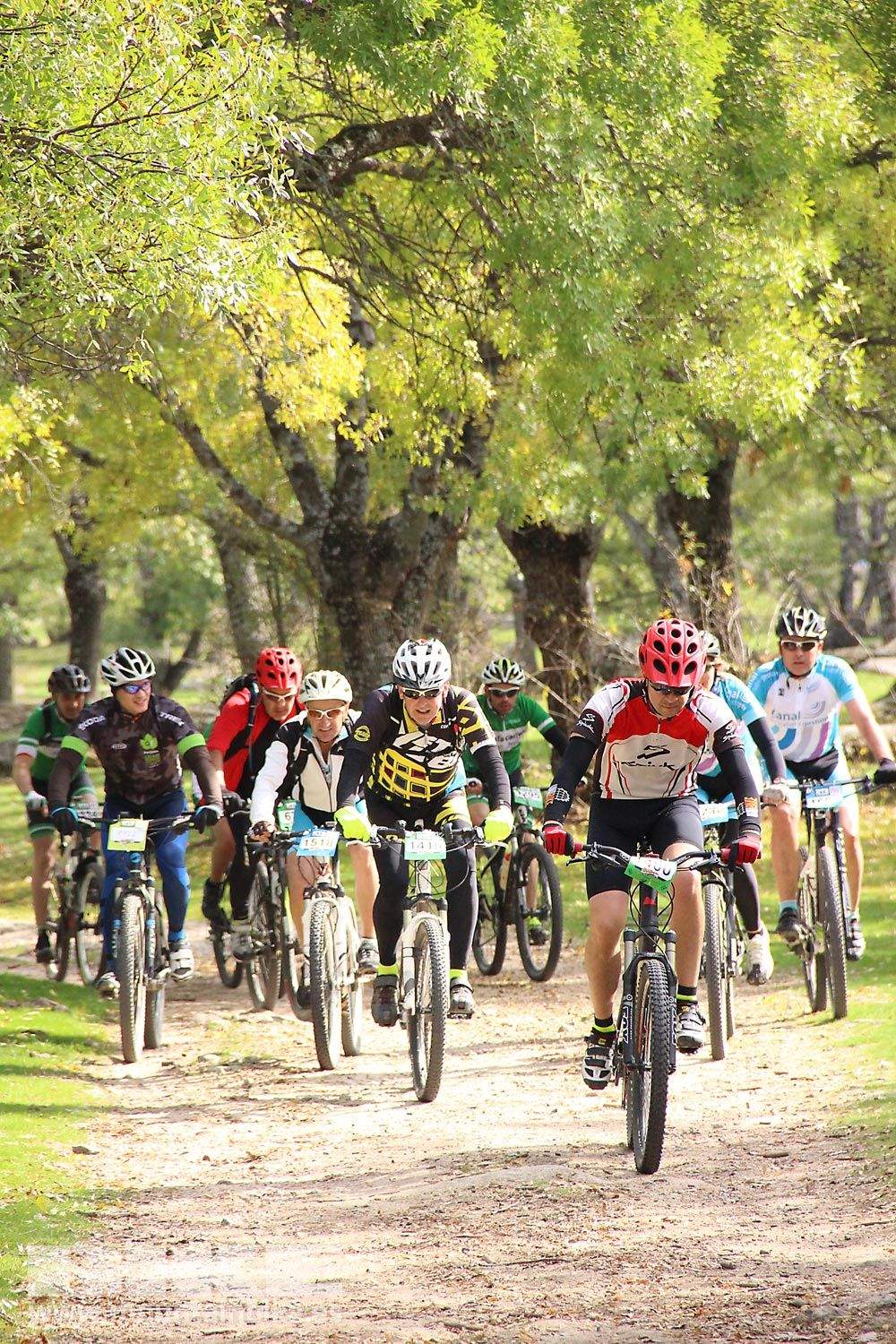 MTB 4 Estaciones La Ruta Imperial 2015. Galería 10