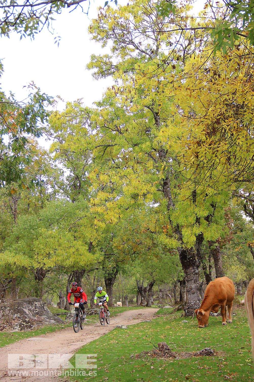 MTB 4 Estaciones La Ruta Imperial 2015. Galería 15