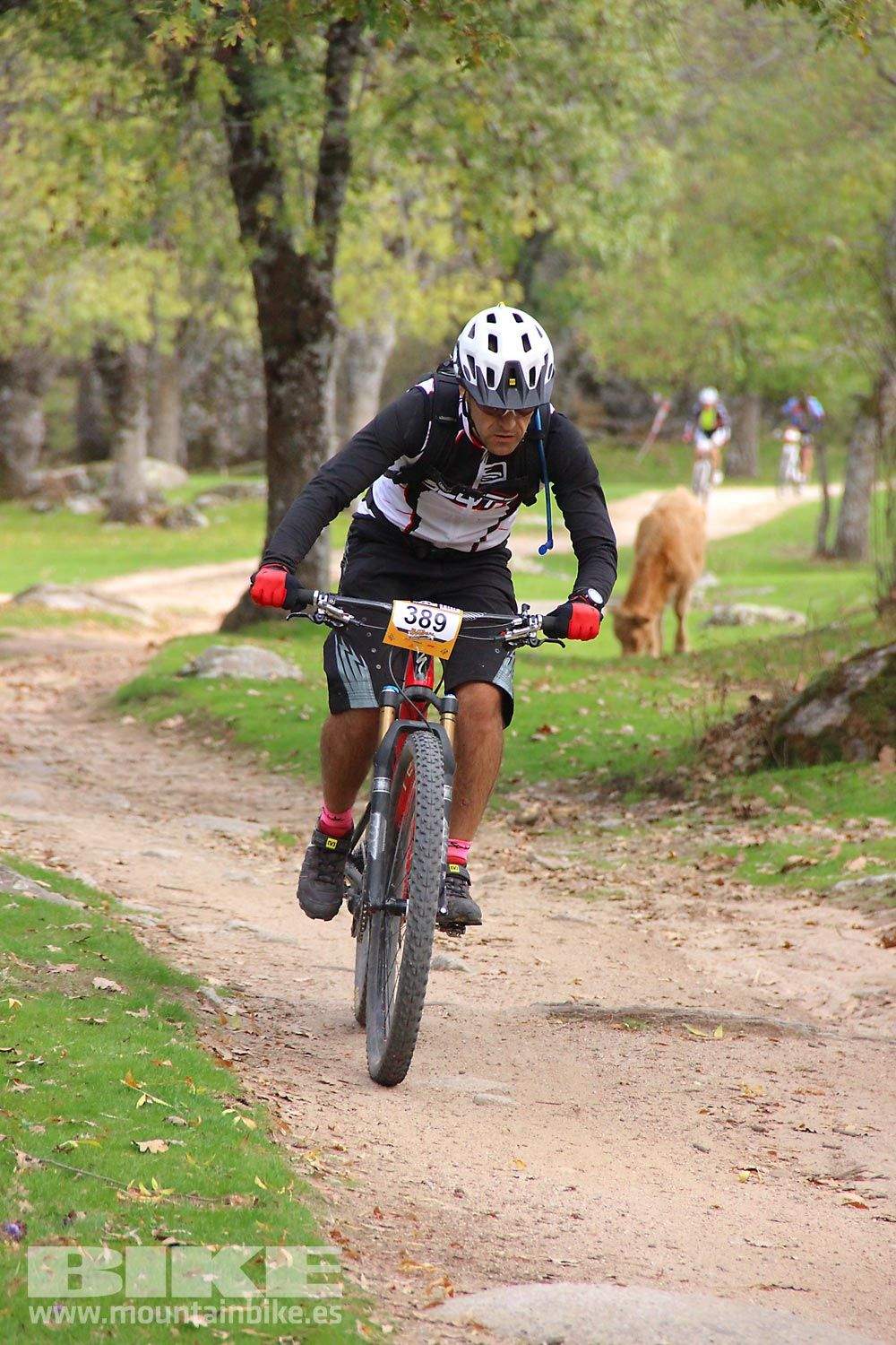 MTB 4 Estaciones La Ruta Imperial 2015. Galería 15