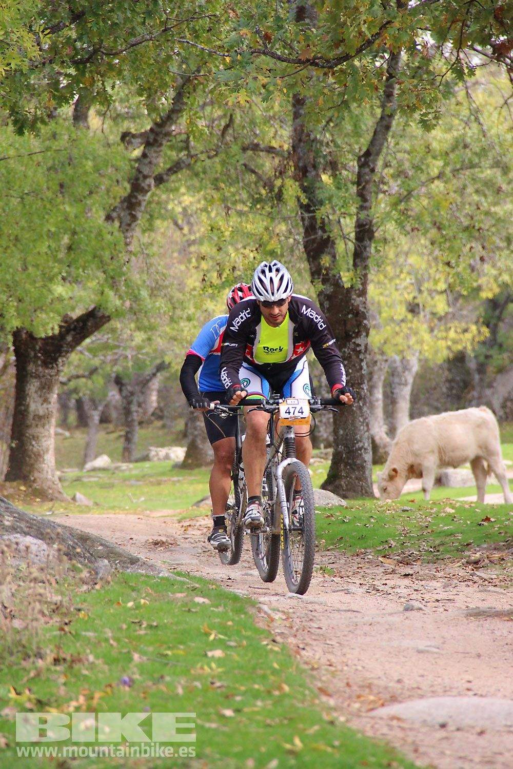 MTB 4 Estaciones La Ruta Imperial 2015. Galería 15