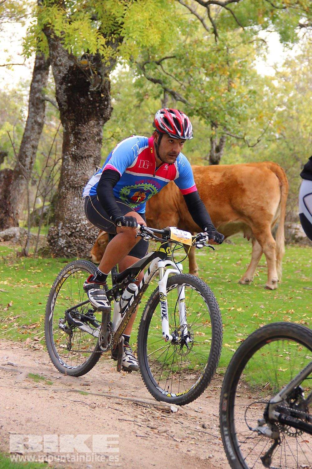 MTB 4 Estaciones La Ruta Imperial 2015. Galería 15