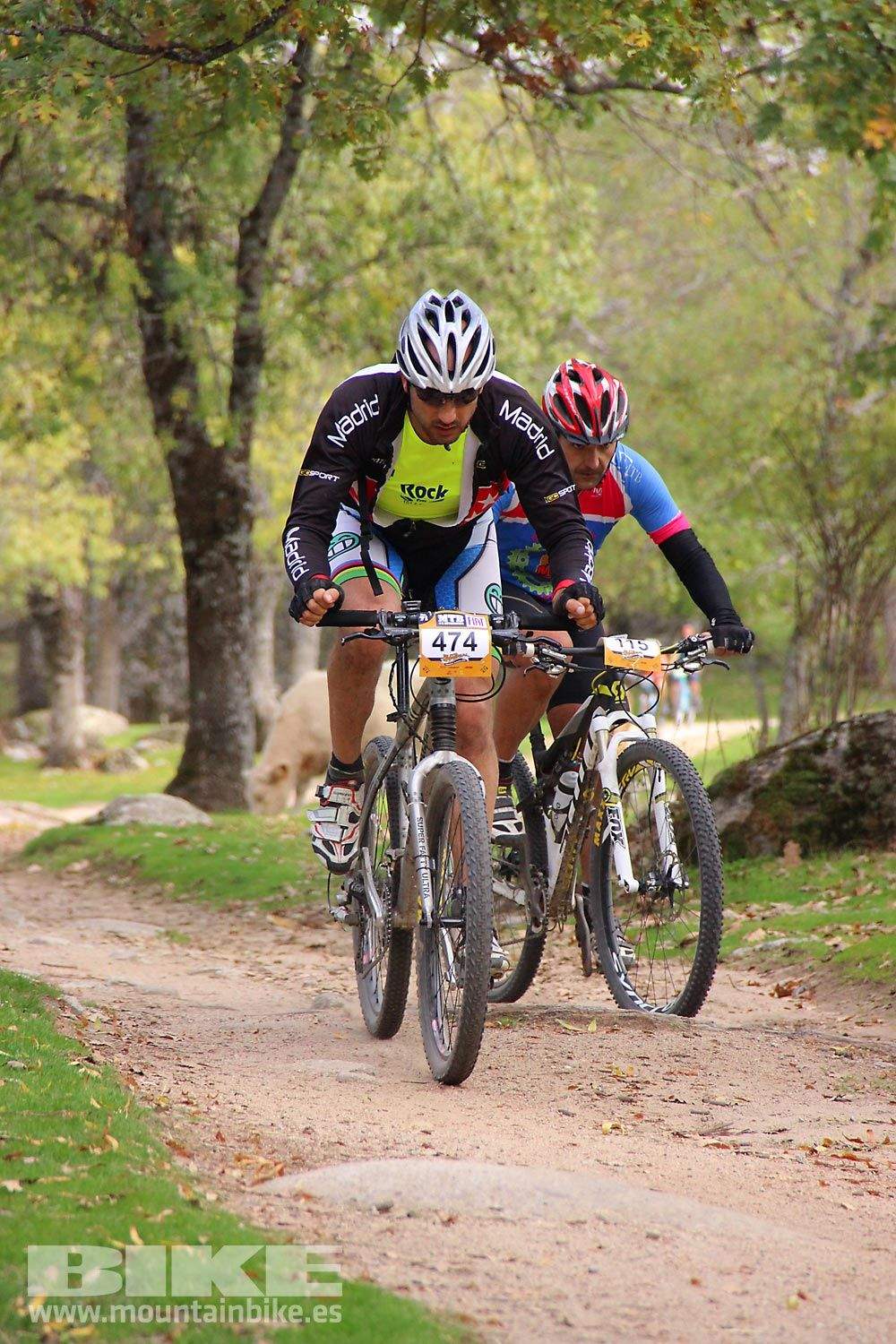 MTB 4 Estaciones La Ruta Imperial 2015. Galería 15