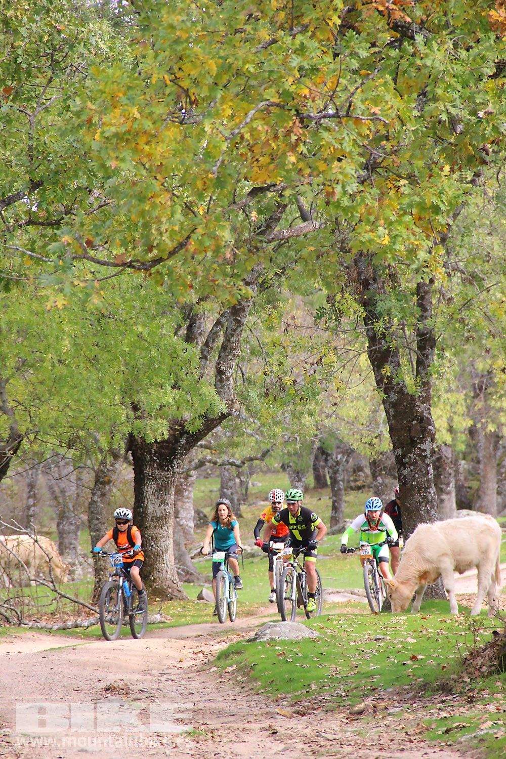 MTB 4 Estaciones La Ruta Imperial 2015. Galería 15