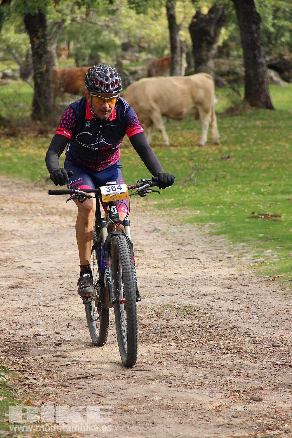 MTB 4 Estaciones La Ruta Imperial 2015. Galería 15