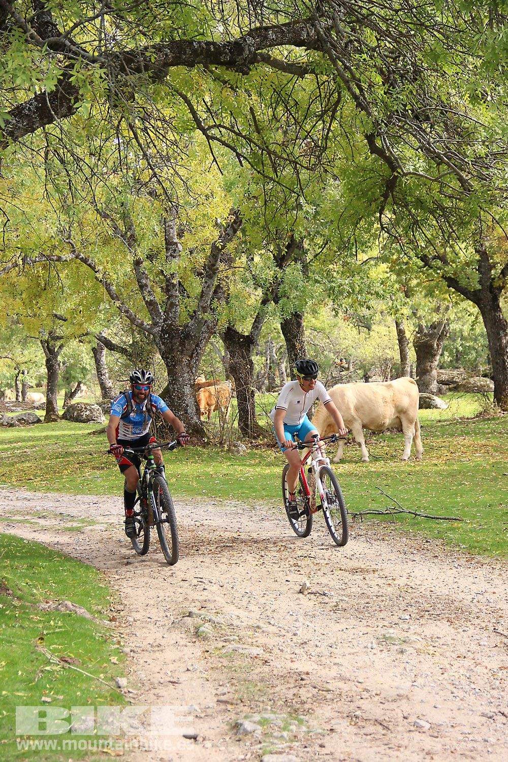 MTB 4 Estaciones La Ruta Imperial 2015. Galería 15