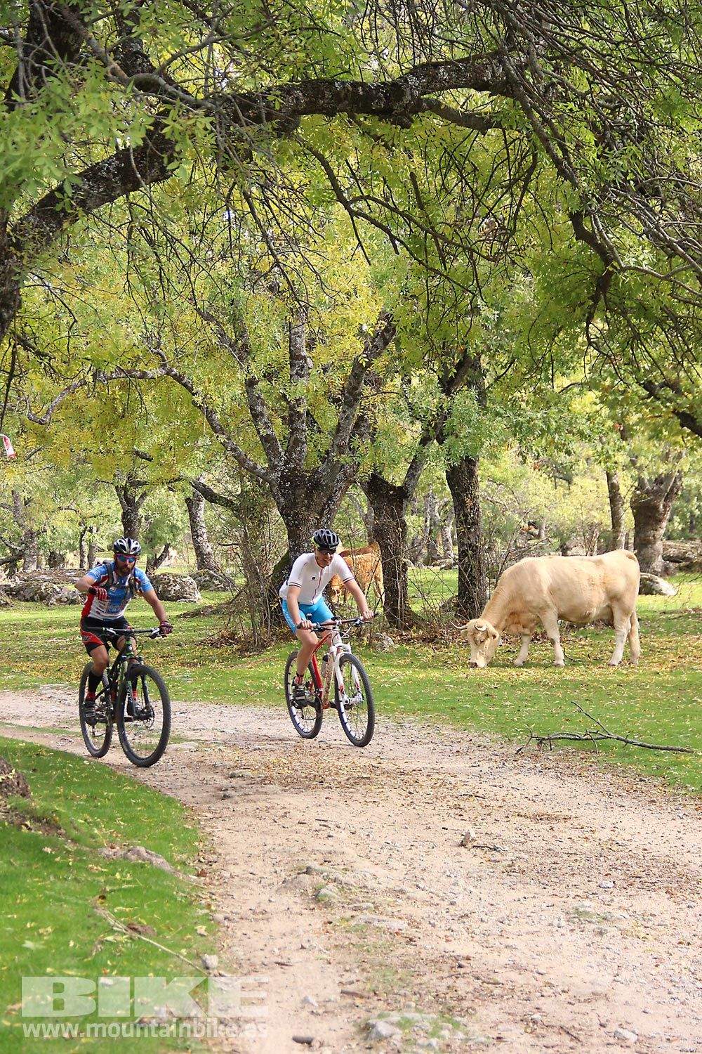 MTB 4 Estaciones La Ruta Imperial 2015. Galería 15