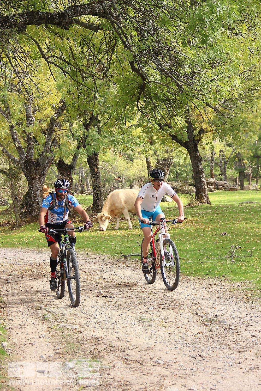 MTB 4 Estaciones La Ruta Imperial 2015. Galería 15