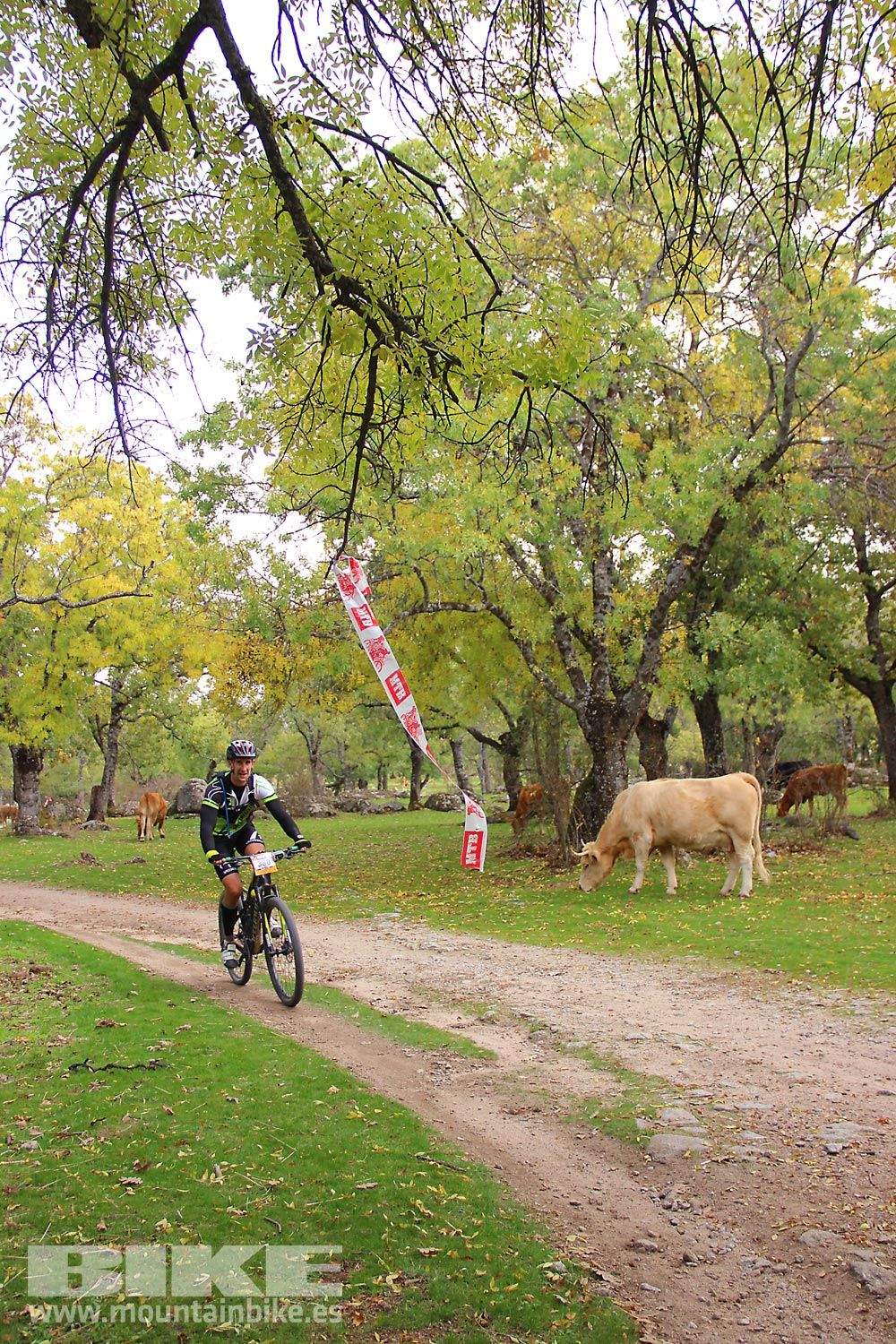 MTB 4 Estaciones La Ruta Imperial 2015. Galería 16