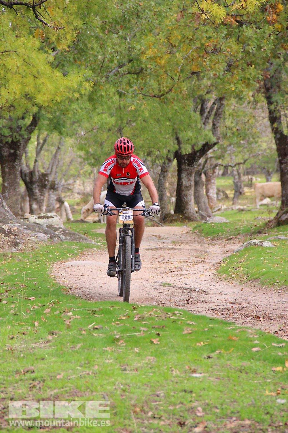 MTB 4 Estaciones La Ruta Imperial 2015. Galería 16