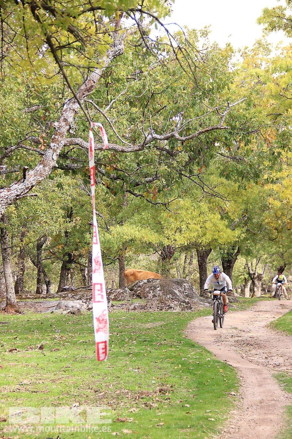 MTB 4 Estaciones La Ruta Imperial 2015. Galería 16
