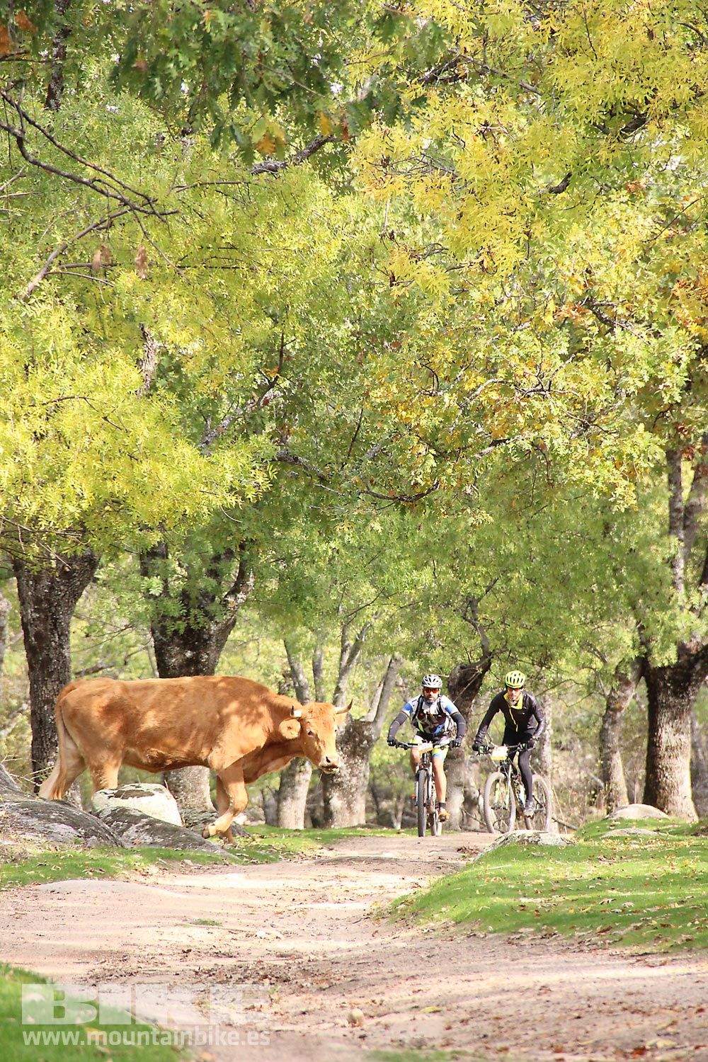MTB 4 Estaciones La Ruta Imperial 2015. Galería 16