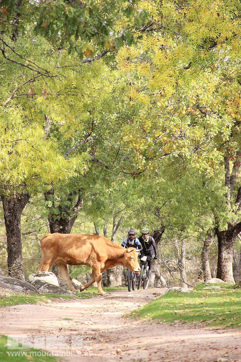 MTB 4 Estaciones La Ruta Imperial 2015. Galería 16