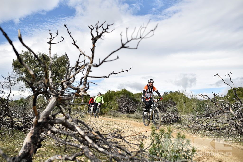 MTB 4 Estaciones Valdemorillo 2016 Ubicación 1 Galería 5