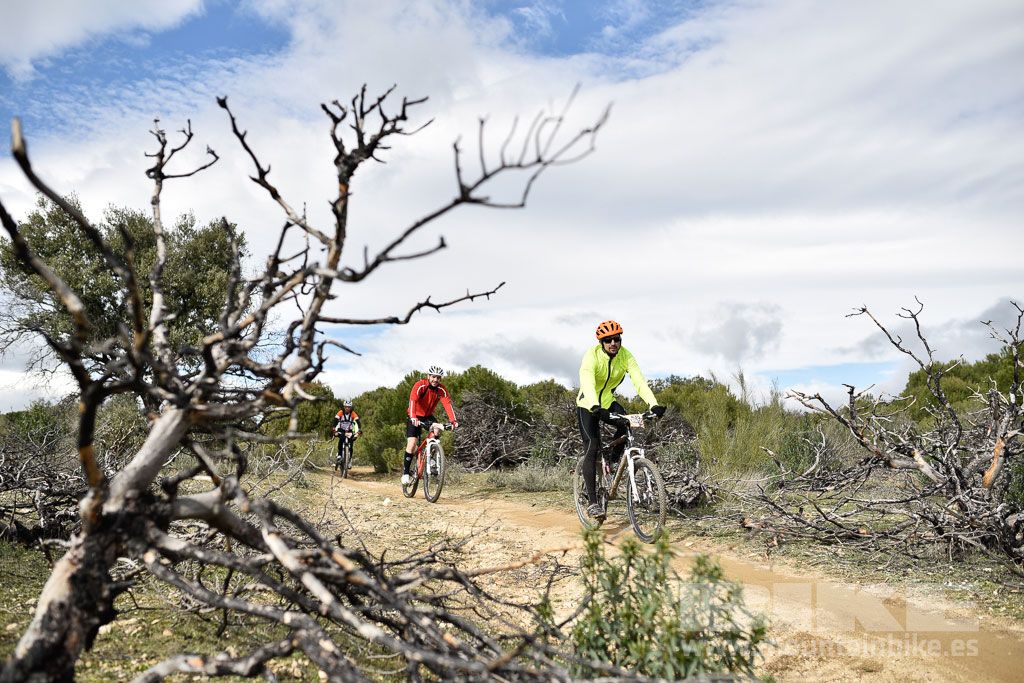 MTB 4 Estaciones Valdemorillo 2016 Ubicación 1 Galería 5