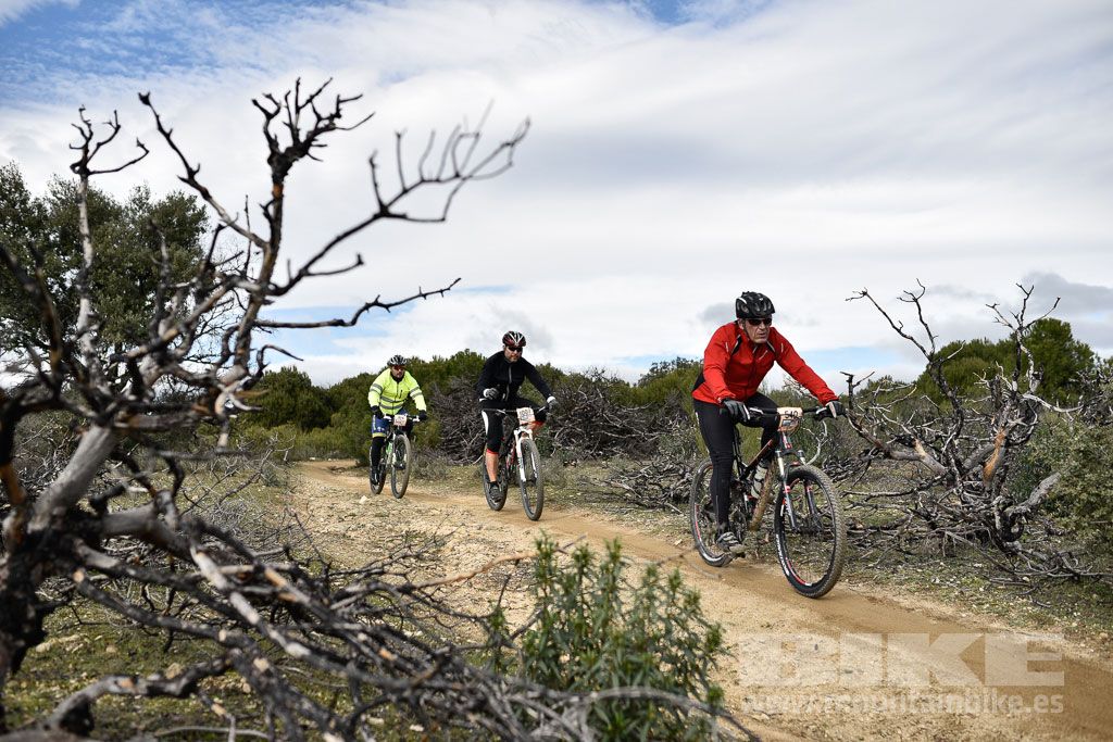 MTB 4 Estaciones Valdemorillo 2016 Ubicación 1 Galería 5