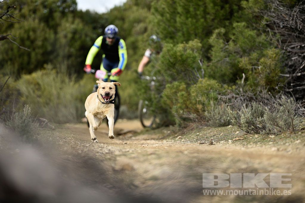 MTB 4 Estaciones Valdemorillo 2016 Ubicación 1 Galería 6