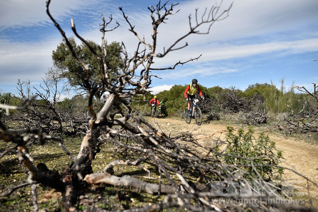 MTB 4 Estaciones Valdemorillo 2016 Ubicación 1 Galería 1