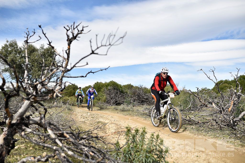 MTB 4 Estaciones Valdemorillo 2016 Ubicación 1 Galería 3