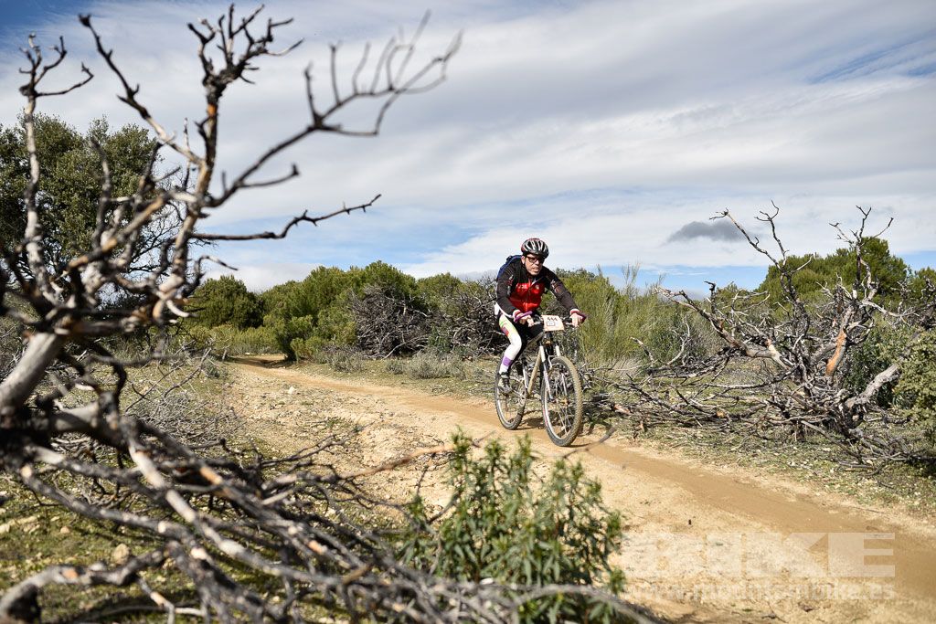 MTB 4 Estaciones Valdemorillo 2016 Ubicación 1 Galería 4