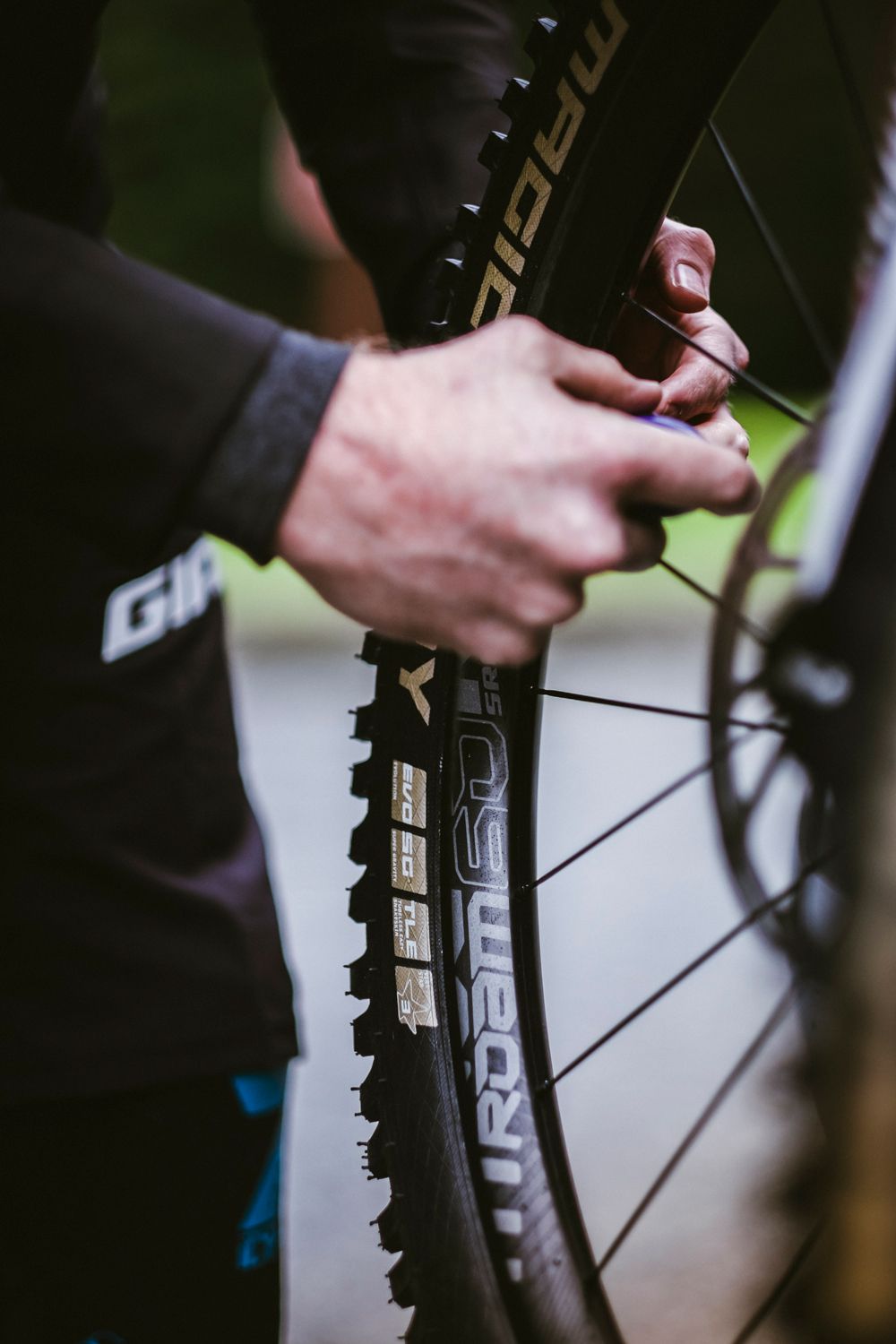 Nuevas ruedas SRAM Roam 60 y bujes 900