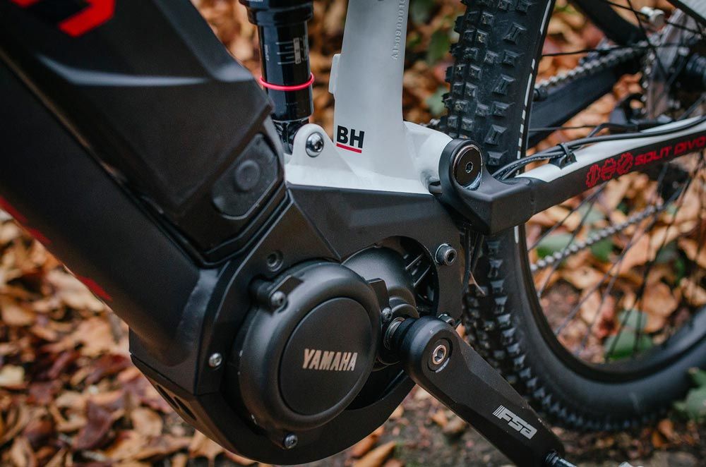 BH Rebel Lynx