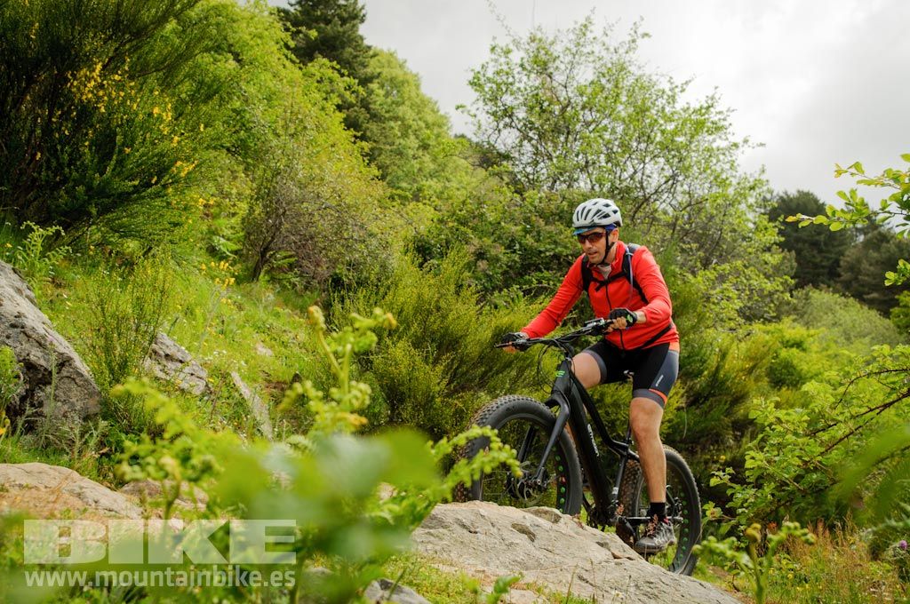 Test The Best 2016. Fotos de las pruebas de bicis