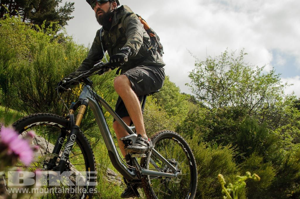 Test The Best 2016. Fotos de las pruebas de bicis