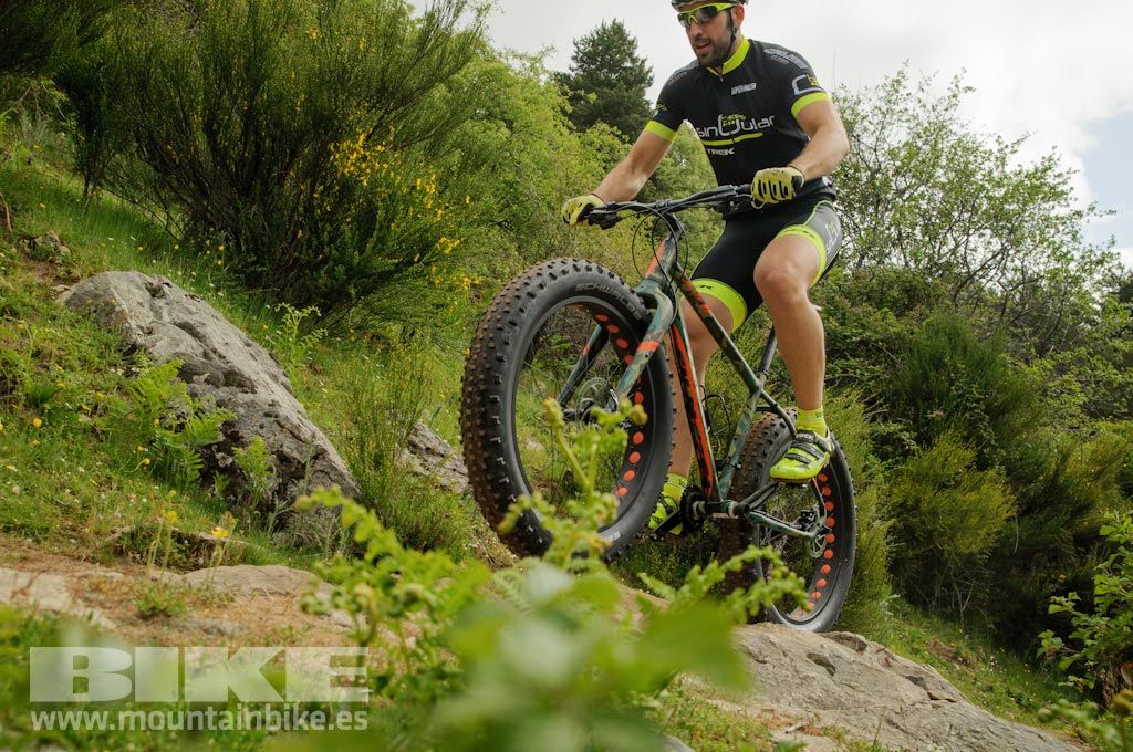 Test The Best 2016. Fotos de las pruebas de bicis