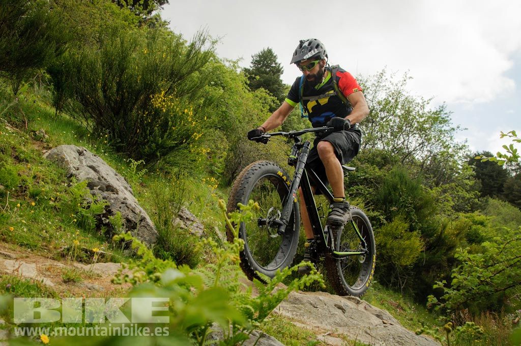 Test The Best 2016. Fotos de las pruebas de bicis