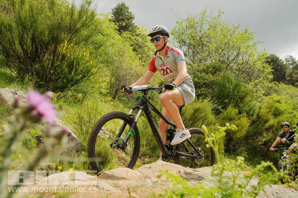 Test The Best 2016. Fotos de las pruebas de bicis