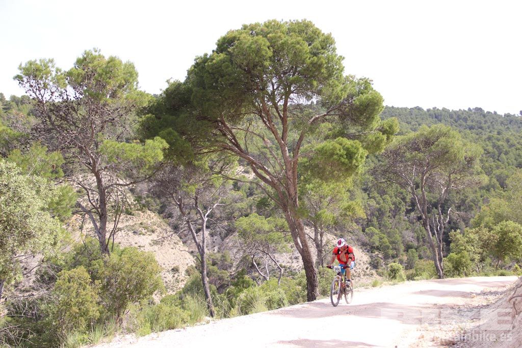 Alcarria Xtreme Race 2016. Km 9. Galería 3