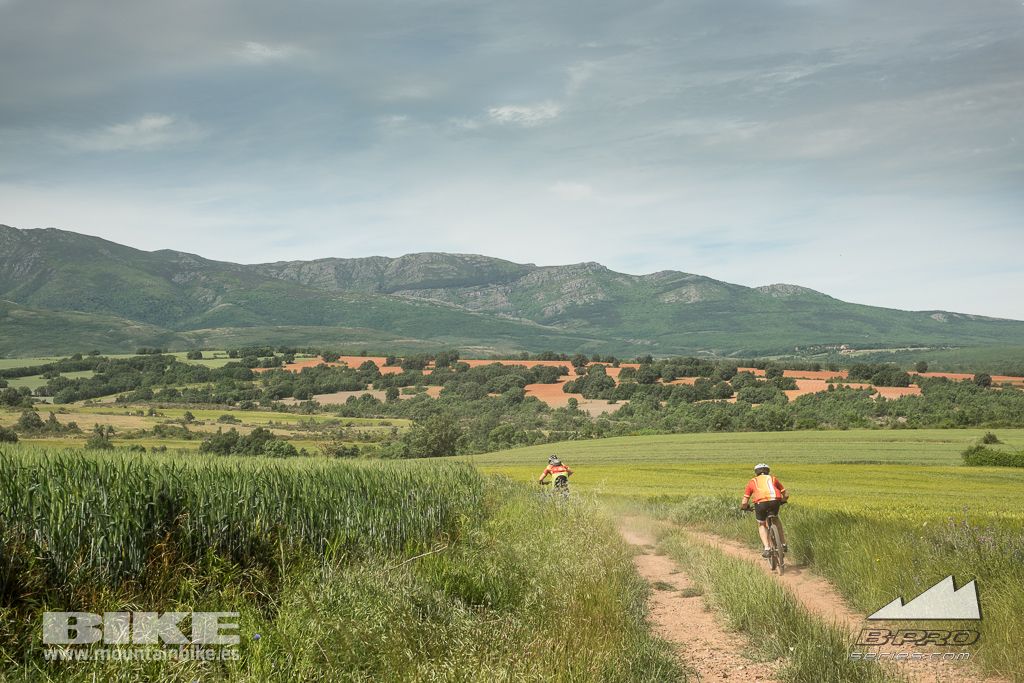 Riaza B-PRO Bike Maratón. Galería 10