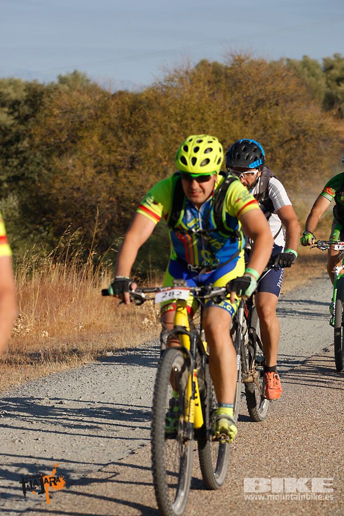 Talajara 2016. Vía Verde de la Jara. Recorrido largo. Galería 1