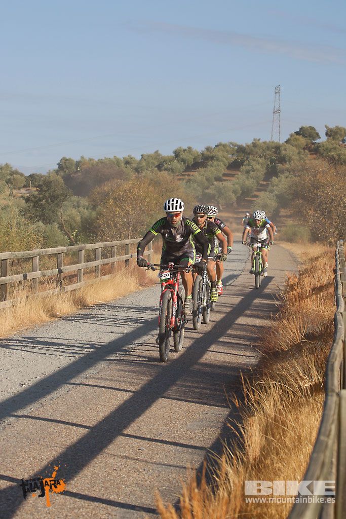 Talajara 2016. Vía Verde de la Jara. Recorrido largo. Galería 1