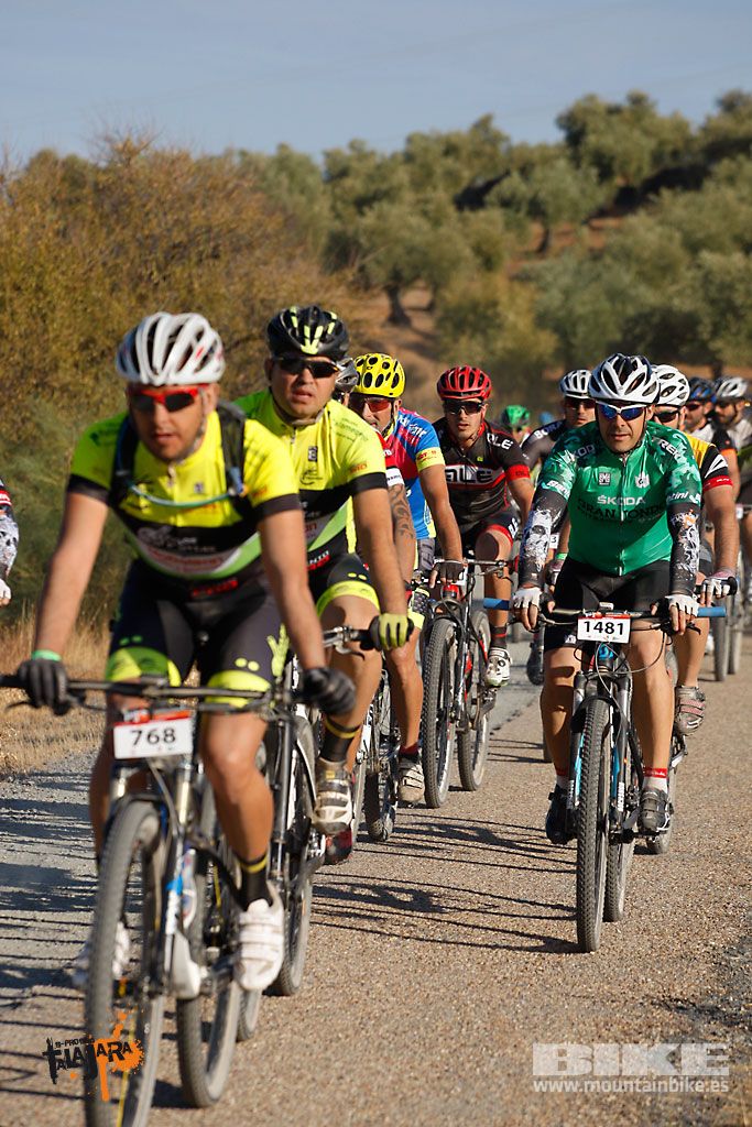 Talajara 2016. Vía Verde de la Jara. Recorrido largo. Galería 2