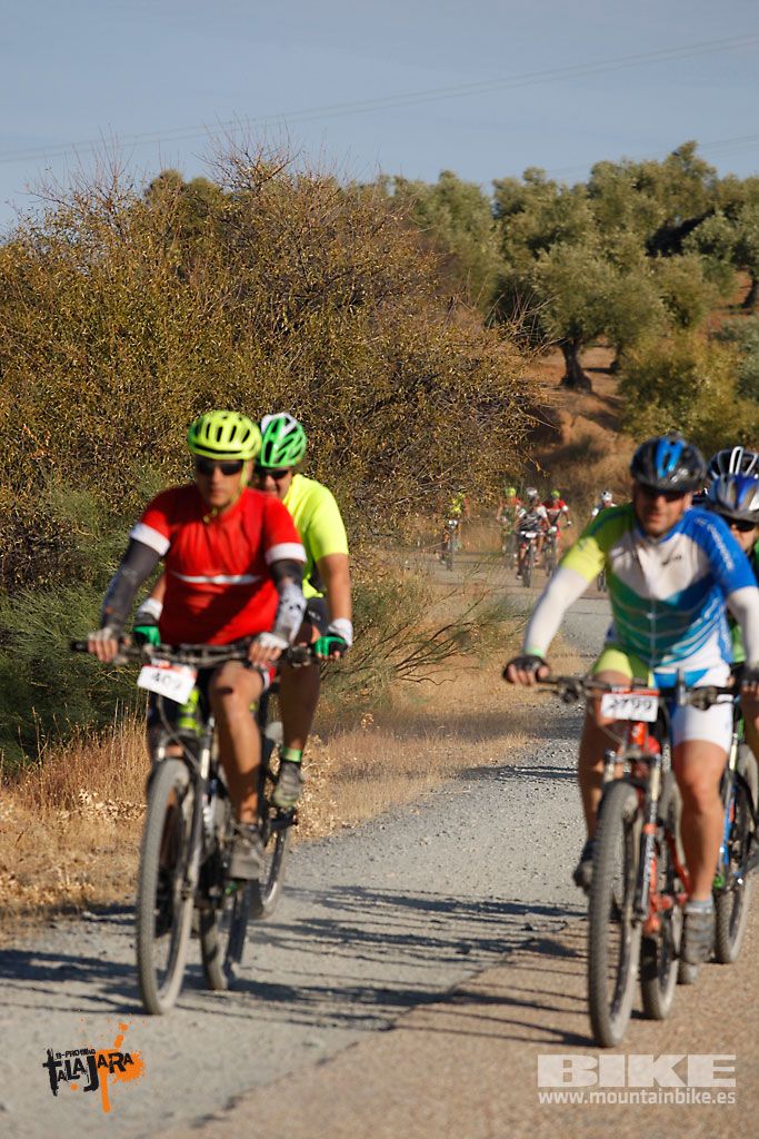 Talajara 2016. Vía Verde de la Jara. Recorrido largo. Galería 2