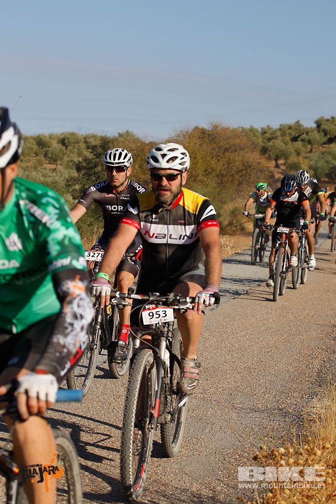 Talajara 2016. Vía Verde de la Jara. Recorrido largo. Galería 2