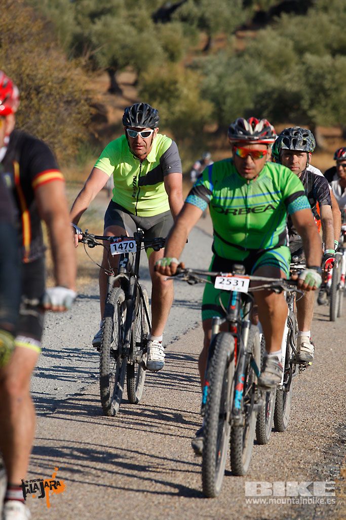 Talajara 2016. Vía Verde de la Jara. Recorrido largo. Galería 2