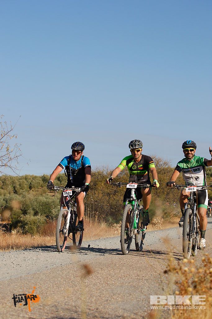 Talajara 2016. Vía Verde de la Jara. Recorrido largo. Galería 2