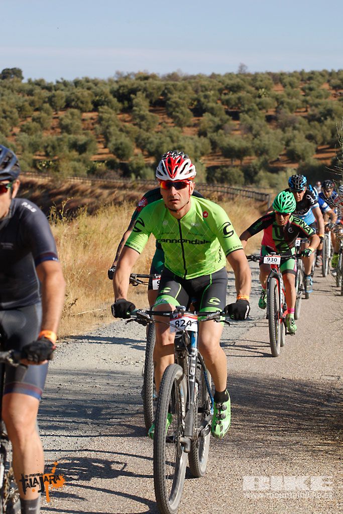 Talajara 2016. Vía Verde de la Jara. Recorrido corto. Galería 1
