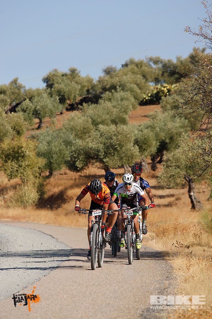 Talajara 2016. Vía Verde de la Jara. Recorrido corto. Galería 1