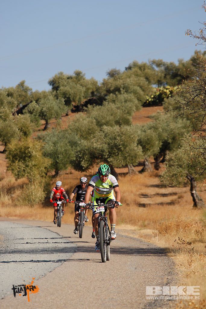 Talajara 2016. Vía Verde de la Jara. Recorrido corto. Galería 1