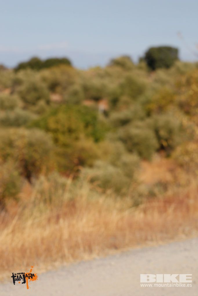 Talajara 2016. Vía Verde de la Jara. Recorrido corto. Galería 1