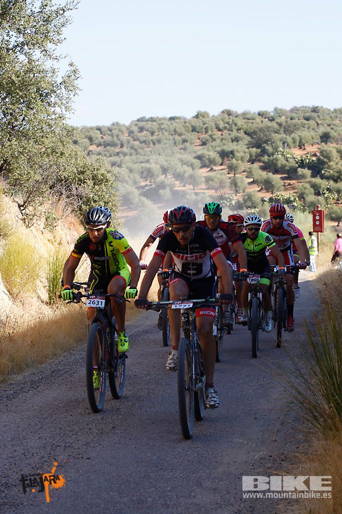 Talajara 2016. Vía Verde de la Jara. Recorrido corto. Galería 1
